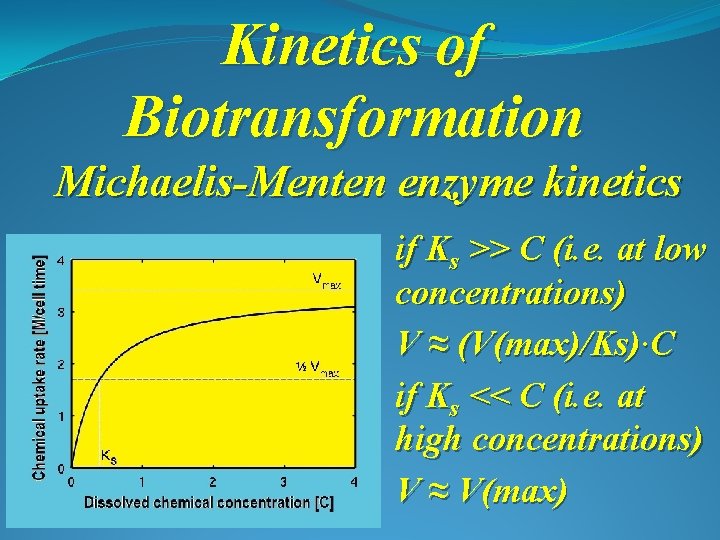 Kinetics of Biotransformation Michaelis-Menten enzyme kinetics if Ks >> C (i. e. at low