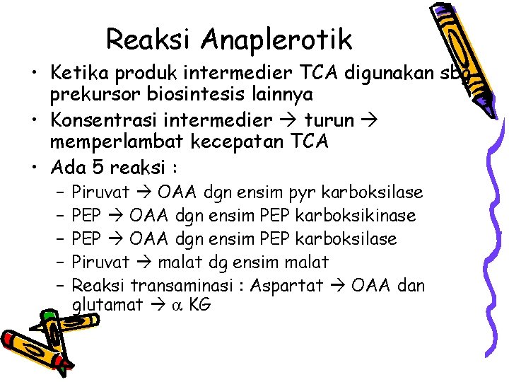 Reaksi Anaplerotik • Ketika produk intermedier TCA digunakan sbg prekursor biosintesis lainnya • Konsentrasi