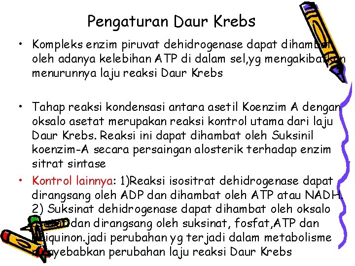 Pengaturan Daur Krebs • Kompleks enzim piruvat dehidrogenase dapat dihambat oleh adanya kelebihan ATP