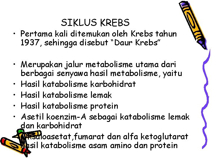 SIKLUS KREBS • Pertama kali ditemukan oleh Krebs tahun 1937, sehingga disebut “Daur Krebs”