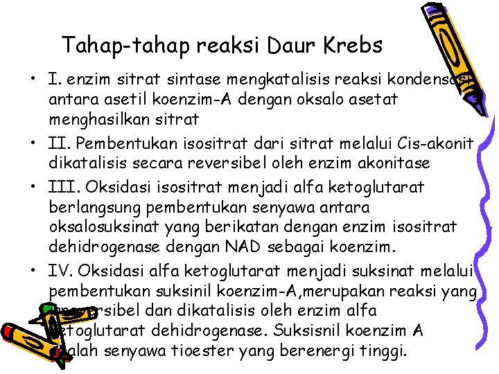 Tahap-tahap reaksi Daur Krebs • I. enzim sitrat sintase mengkatalisis reaksi kondensasi antara asetil