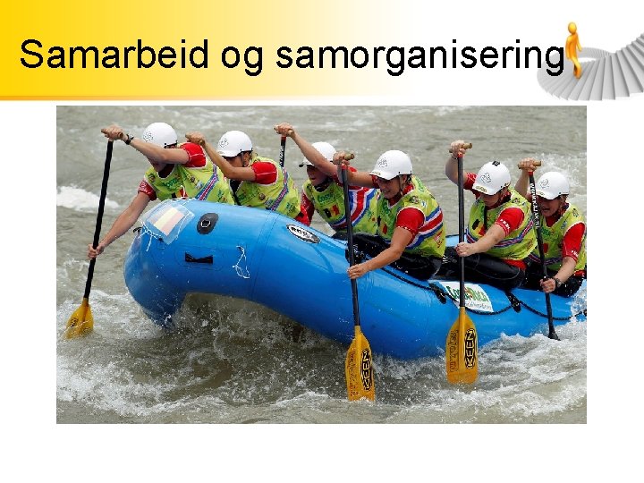 Samarbeid og samorganisering 