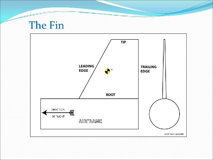 The Fin 