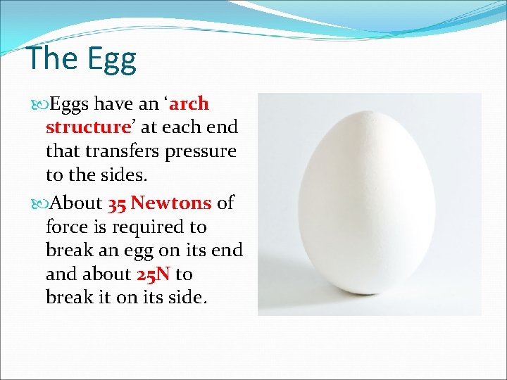 The Eggs have an ‘arch structure’ at each end that transfers pressure to the