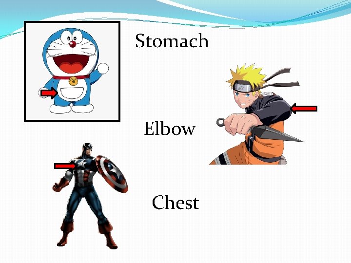 Stomach Elbow Chest 