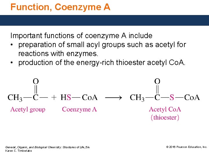 Function, Coenzyme A Important functions of coenzyme A include • preparation of small acyl