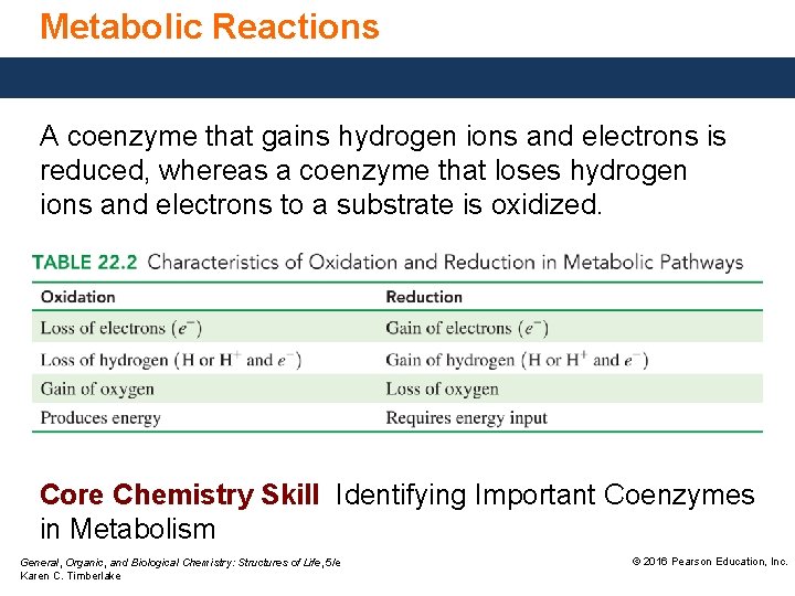 Metabolic Reactions A coenzyme that gains hydrogen ions and electrons is reduced, whereas a