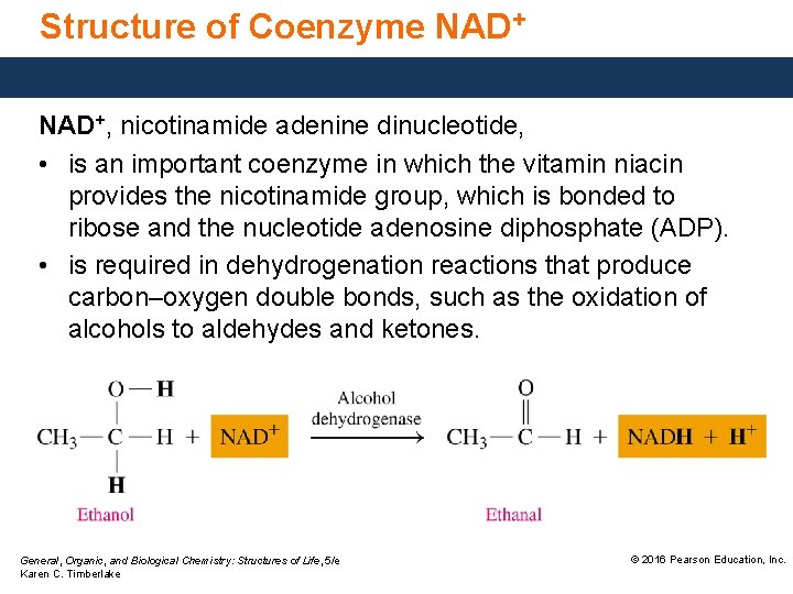 Structure of Coenzyme NAD+, nicotinamide adenine dinucleotide, • is an important coenzyme in which