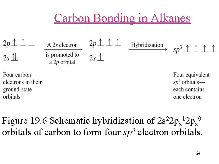 Carbon Bonding in Alkanes Figure 19. 6 Schematic hybridization of 2 s 22 px Carbon Bonding in Alkanes Figure 19. 6 Schematic hybridization of 2 s 22 px