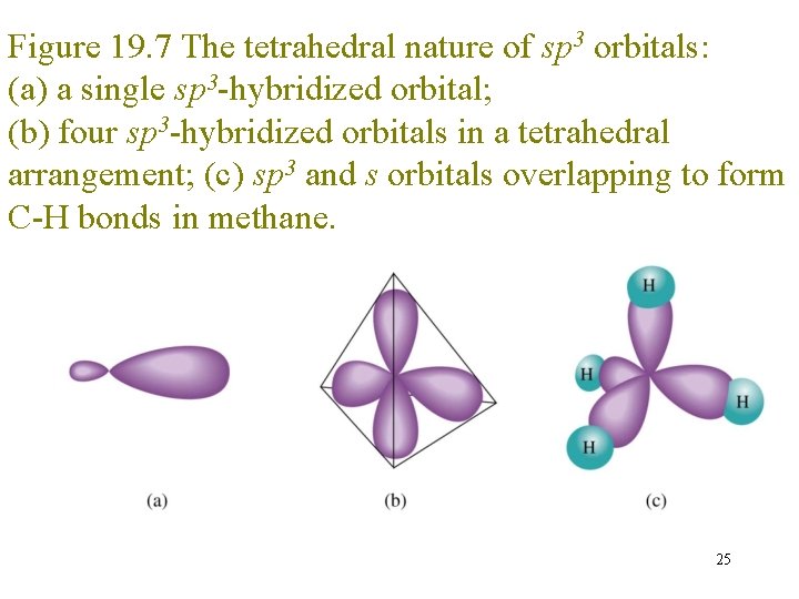 Figure 19. 7 The tetrahedral nature of sp 3 orbitals: (a) a single sp Figure 19. 7 The tetrahedral nature of sp 3 orbitals: (a) a single sp