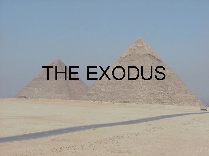 THE EXODUS 