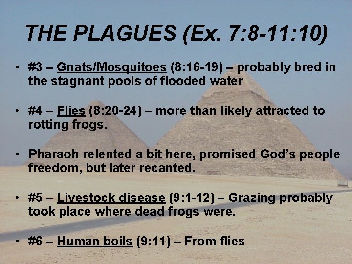 THE PLAGUES (Ex. 7: 8 -11: 10) • #3 – Gnats/Mosquitoes (8: 16 -19)