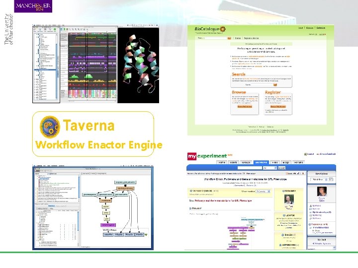 Workflow Enactor Engine 