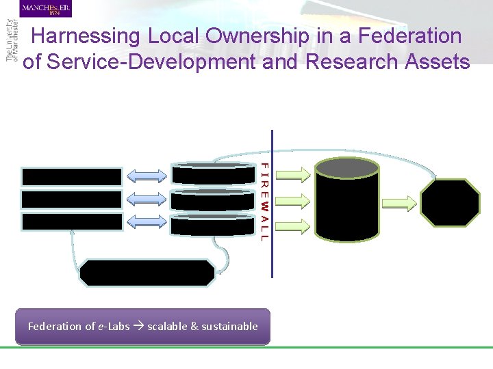 Harnessing Local Ownership in a Federation of Service-Development and Research Assets e-Lab Local NHS