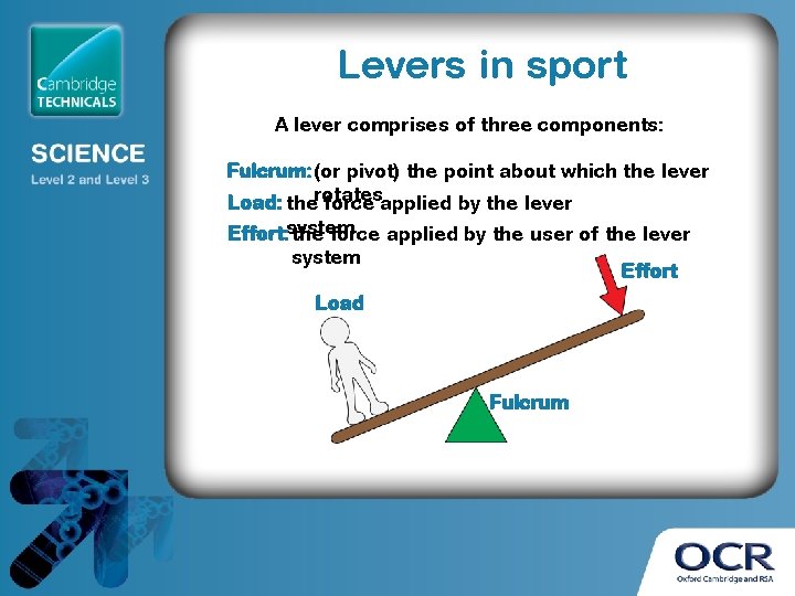 Levers in sport A lever comprises of three components: Fulcrum: (or pivot) the point
