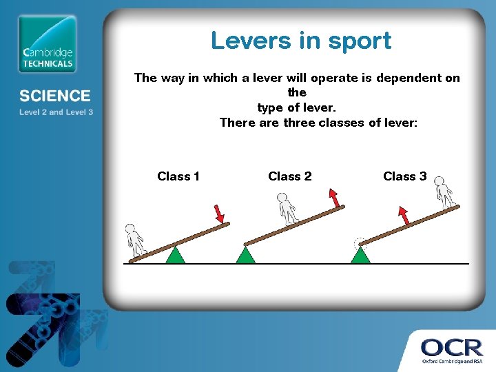 Levers in sport The way in which a lever will operate is dependent on