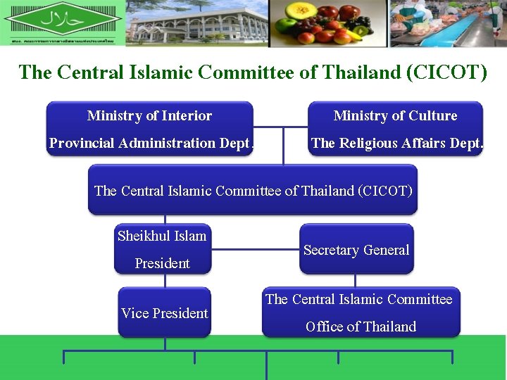 The Central Islamic Committee of Thailand (CICOT) Ministry of Interior Provincial Administration Dept. Ministry
