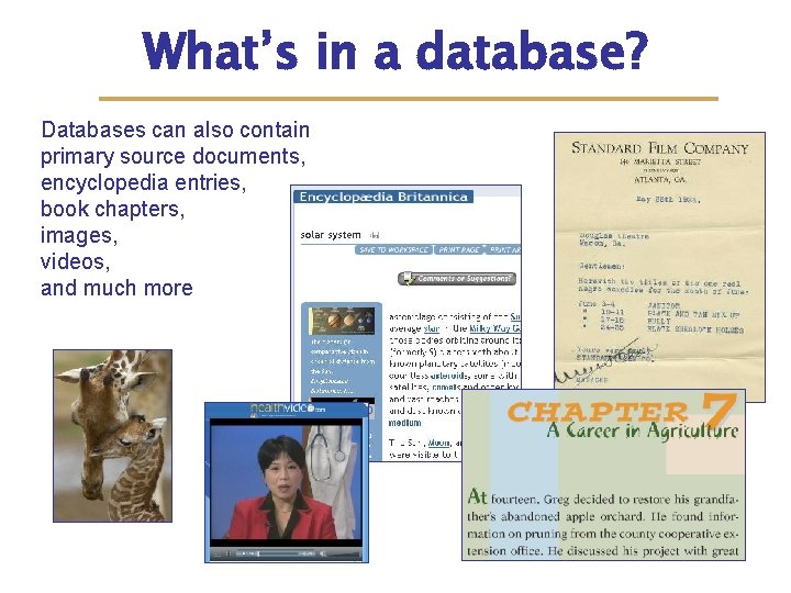 What’s in a database? Databases can also contain primary source documents, encyclopedia entries, book