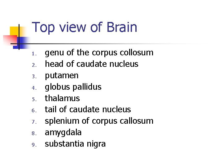 Top view of Brain 1. 2. 3. 4. 5. 6. 7. 8. 9. genu