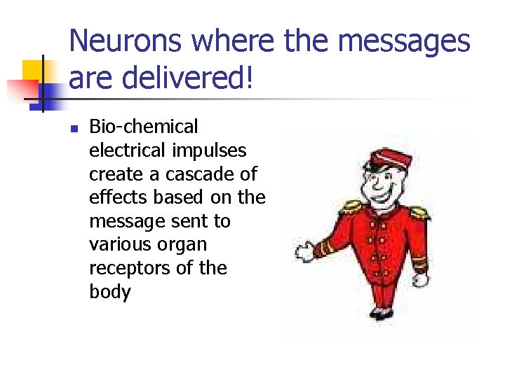 Neurons where the messages are delivered! n Bio-chemical electrical impulses create a cascade of