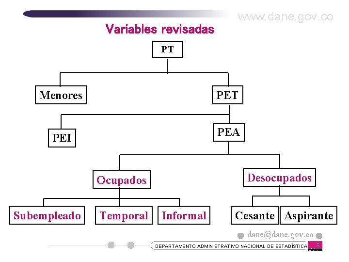 Variables revisadas www. dane. gov. co PT Menores PET PEI PEA Desocupados Ocupados Subempleado