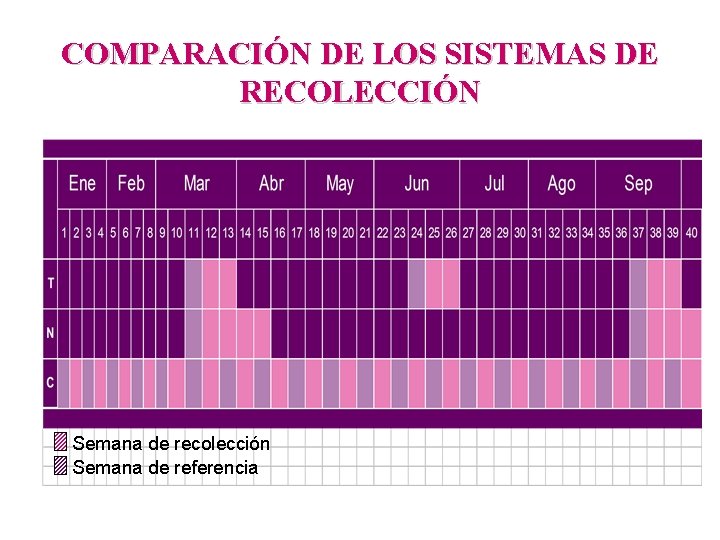 COMPARACIÓN DE LOS SISTEMAS DE RECOLECCIÓN Semana de recolección Semana de referencia 