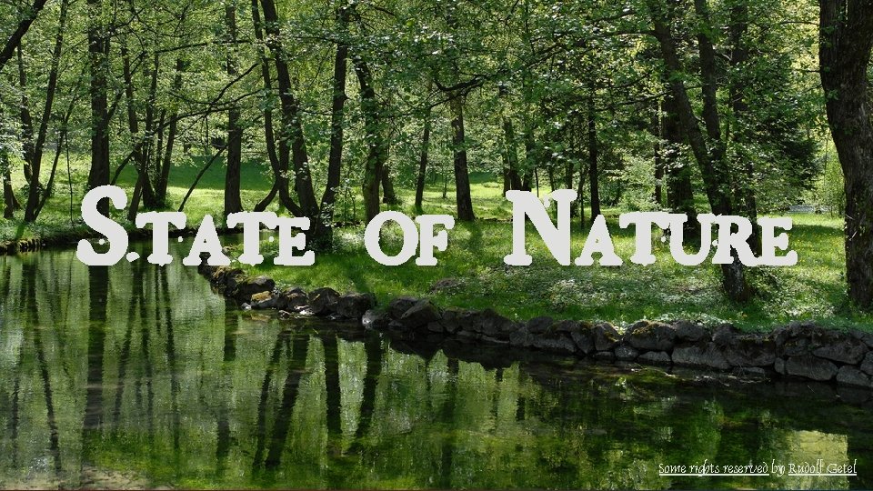 State of Nature Some rights reserved by Rudolf Getel 