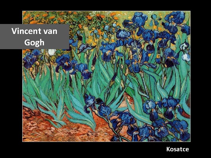 Vincent van Gogh Kosatce 