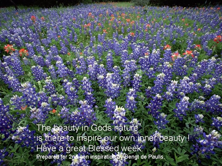 The beauty in Gods nature is there to inspire our own inner beauty !