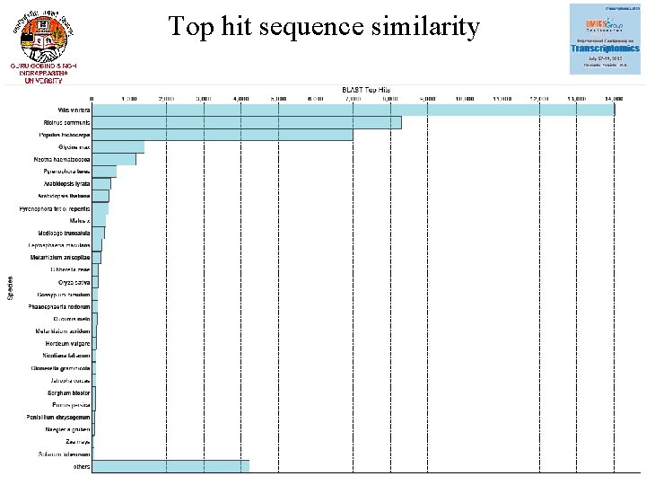 Top hit sequence similarity 