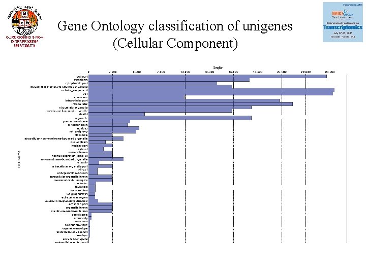 Gene Ontology classification of unigenes (Cellular Component) 