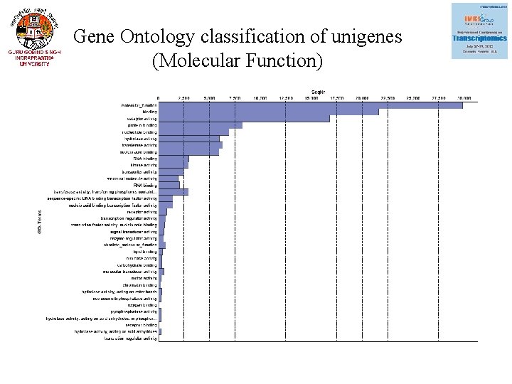 Gene Ontology classification of unigenes (Molecular Function) 