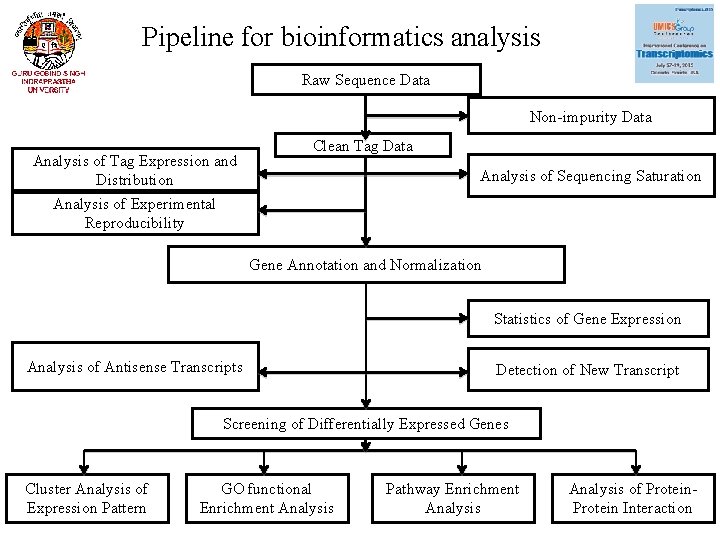 Pipeline for bioinformatics analysis Raw Sequence Data Non-impurity Data Analysis of Tag Expression and