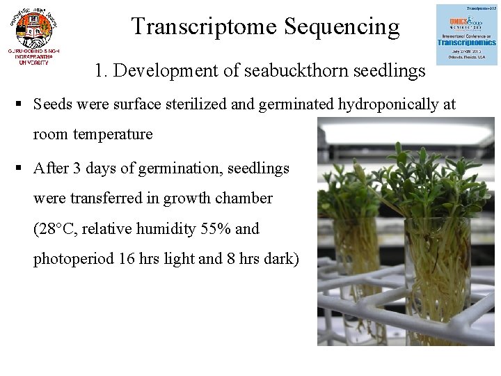 Transcriptome Sequencing 1. Development of seabuckthorn seedlings § Seeds were surface sterilized and germinated