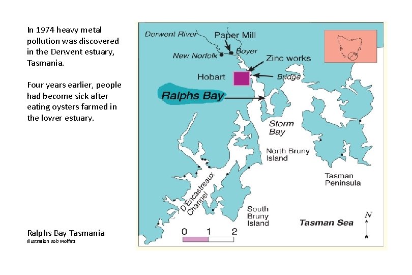 In 1974 heavy metal pollution was discovered in the Derwent estuary, Tasmania. Four years