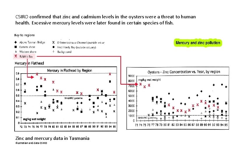 CSIRO confirmed that zinc and cadmium levels in the oysters were a threat to