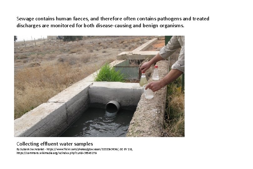 Sewage contains human faeces, and therefore often contains pathogens and treated discharges are monitored