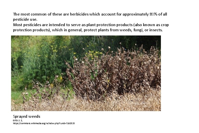 The most common of these are herbicides which account for approximately 80% of all