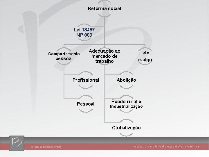 Reforma social Lei 13467 MP 808 Comportamento pessoal Adequação ao mercado de trabalho Profissional