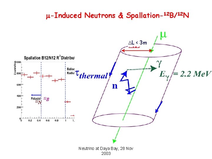 m-Induced Neutrons & Spallation-12 B/12 N DL < 3 m 12 N 12 B