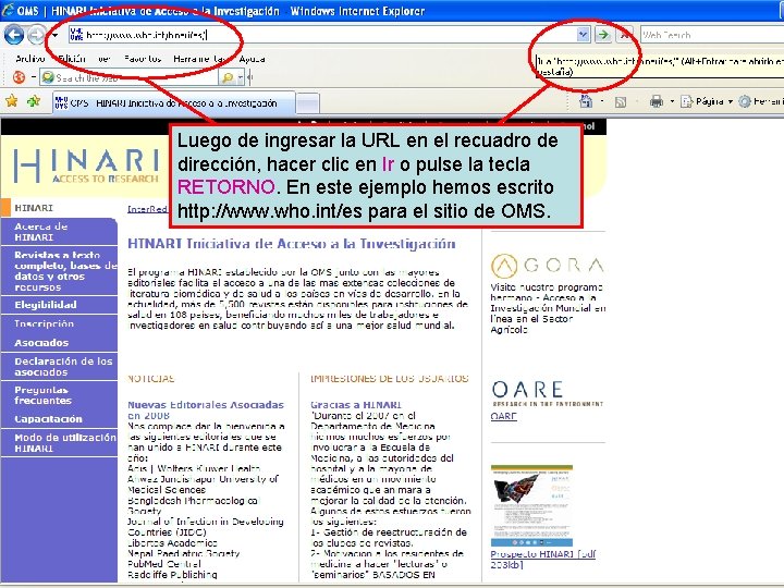 Luego de ingresar la URL en el recuadro de dirección, hacer clic en Ir