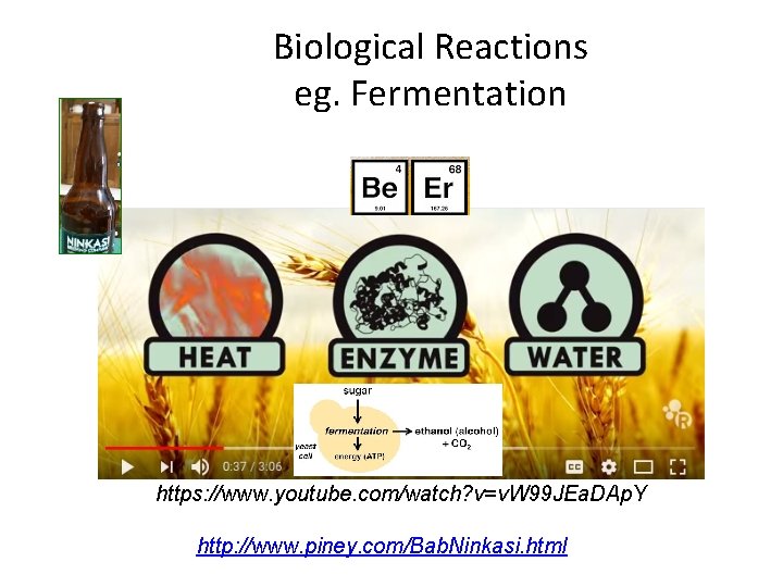 Biological Reactions eg. Fermentation https: //www. youtube. com/watch? v=v. W 99 JEa. DAp. Y