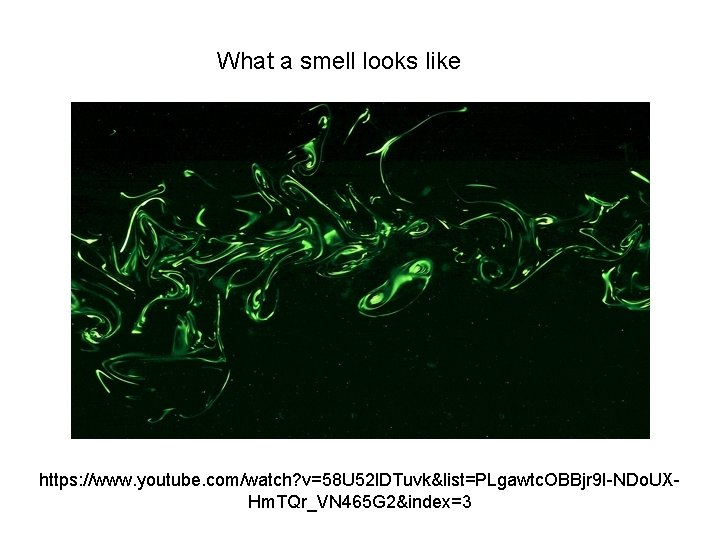 What a smell looks like https: //www. youtube. com/watch? v=58 U 52 l. DTuvk&list=PLgawtc.