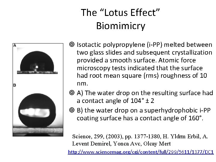 The “Lotus Effect” Biomimicry ¥ Isotactic polypropylene (i-PP) melted between two glass slides and