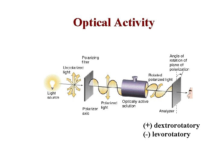 Optical Activity (+) dextrorotatory (-) levorotatory 