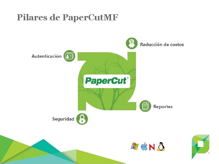 Pilares de Paper. Cut. MF 
