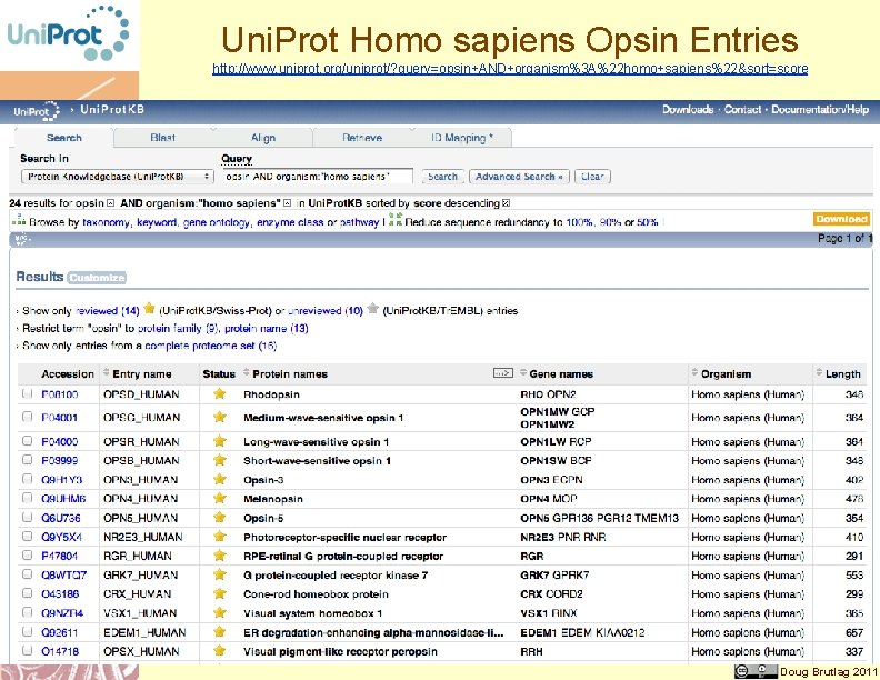 Uni. Prot Homo sapiens Opsin Entries http: //www. uniprot. org/uniprot/? query=opsin+AND+organism%3 A%22 homo+sapiens%22&sort=score Doug