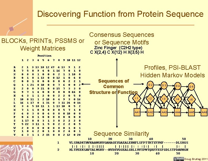 Discovering Function from Protein Sequence Consensus Sequences BLOCKs, PRINTs, PSSMS or or Sequence Motifs