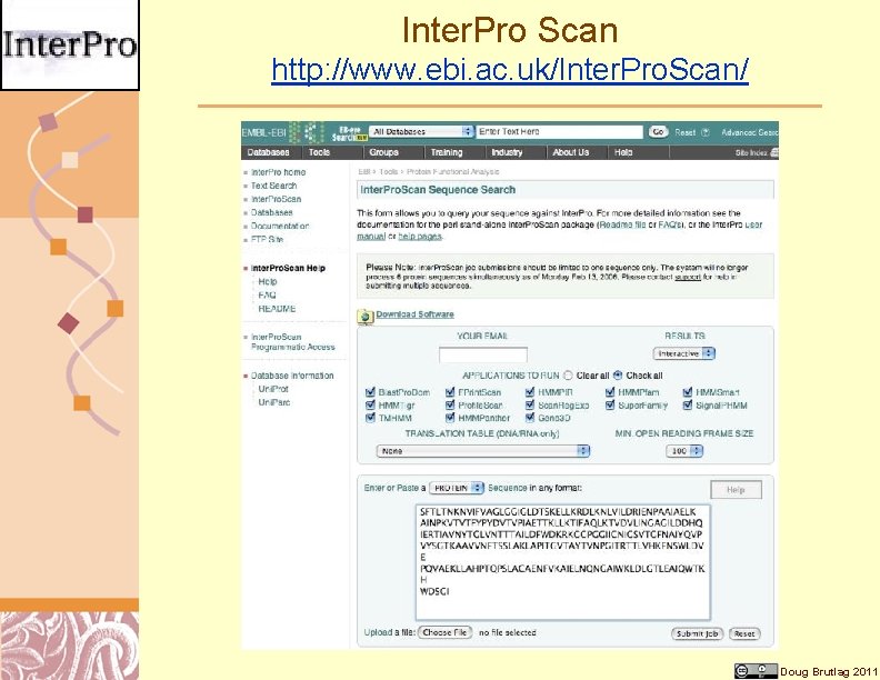 Inter. Pro Scan http: //www. ebi. ac. uk/Inter. Pro. Scan/ Doug Brutlag 2011 