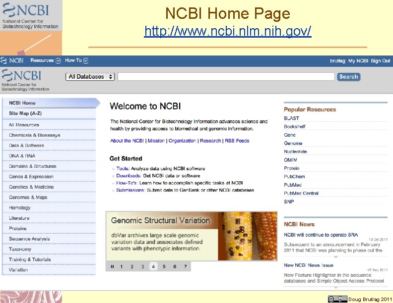 NCBI Home Page http: //www. ncbi. nlm. nih. gov/ Doug Brutlag 2011 